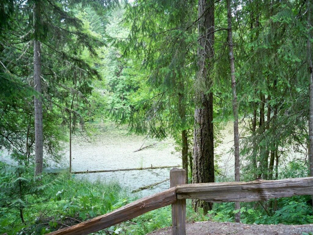 Property Photo:  17920 Pondside Ct SE  WA 98597 