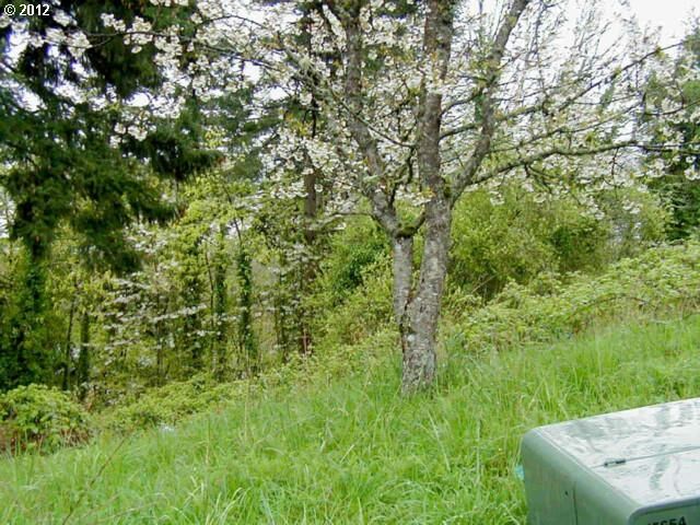 Property Photo:  0 SW 7 Cir  WA 98607 