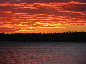 Property Photo:  7806 Birch Bay Dr 414  WA 98230 