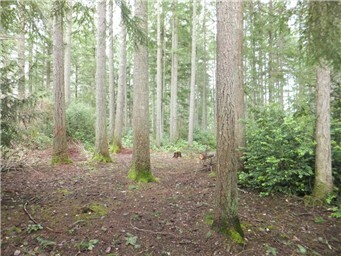 Property Photo:  8516 57th St NW  WA 98335 