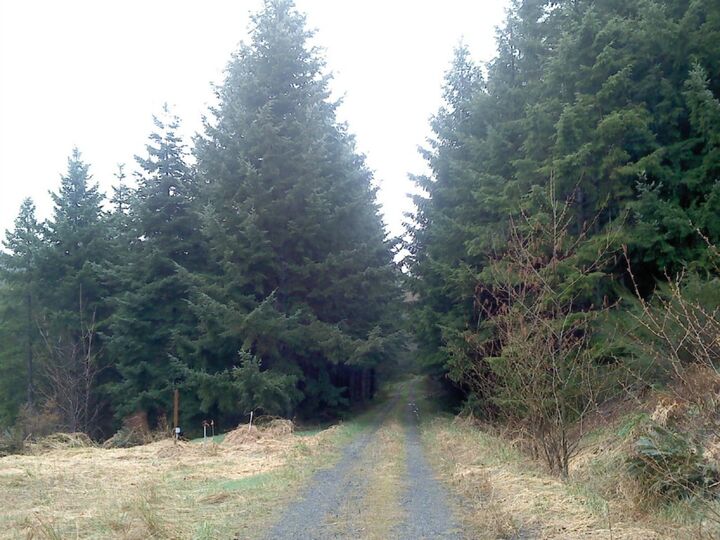 Property Photo: 3795 E Quilcene Road WA 98376