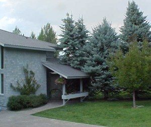 Property Photo:  100 Thistle Lane  ID 83353 