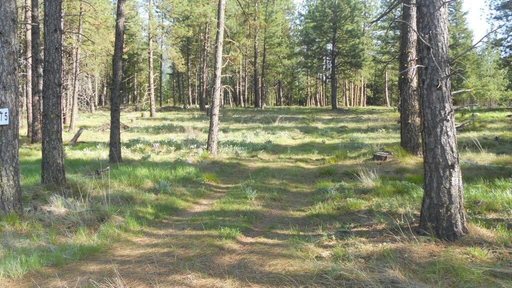 Property Photo:  0lot 2 Loping Lane  WA 98922 