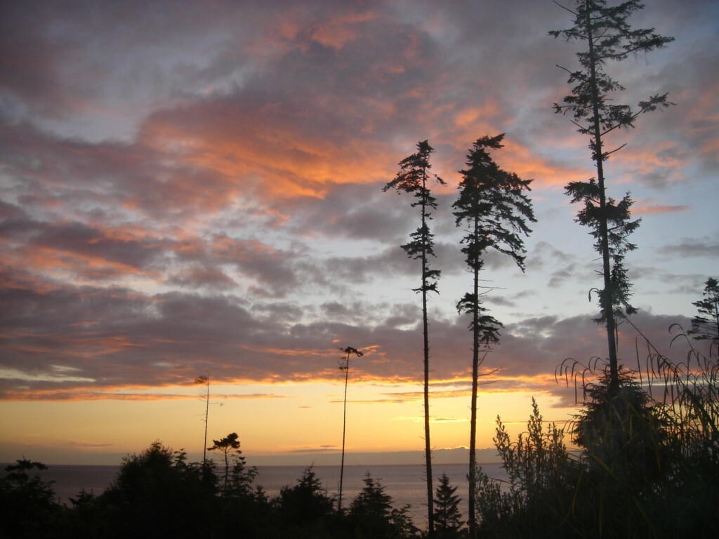 Property Photo:  245 McCurdy Point Rd  WA 98368 