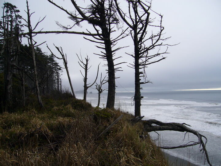 Property Photo: 999 Cape Elizabeth Rd WA 98526