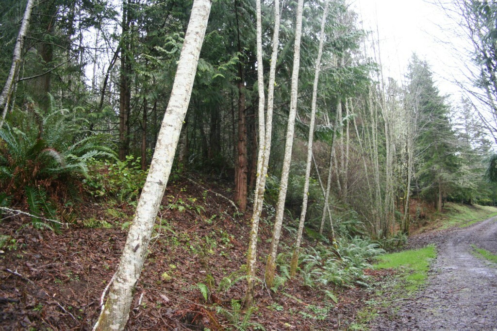 Property Photo:  0lot 11 Bluebird Lane  WA 98365 