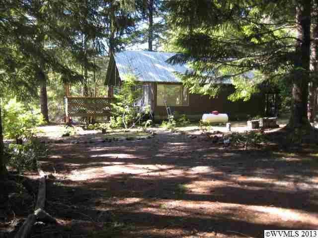 Property Photo:  245  Hill St S  OR 97342 