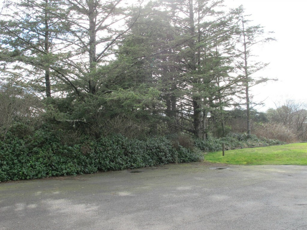 Property Photo:  805 Pt Brown Ave NW  WA 98569 