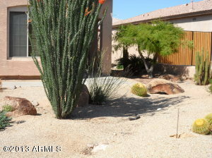 Property Photo:  10774 W Chisholm Drive  AZ 85373 