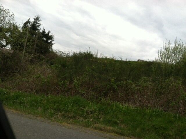 Property Photo:  37767 Vista Key Dr NE  WA 98340 
