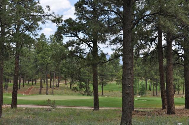 Property Photo:  1936 E Bare Oak Loop  AZ 86001 