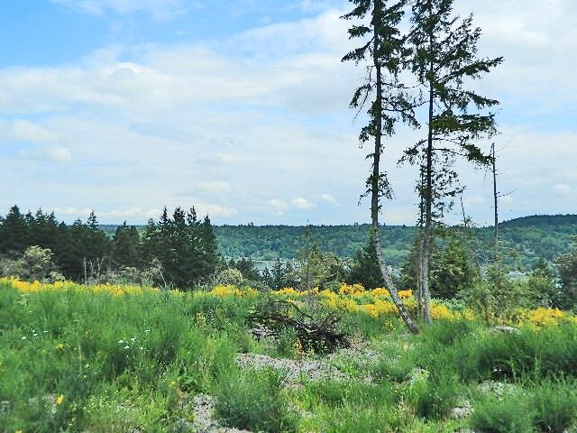 Property Photo:  1 Xxx  Sand Dollar Road W  WA 98312 