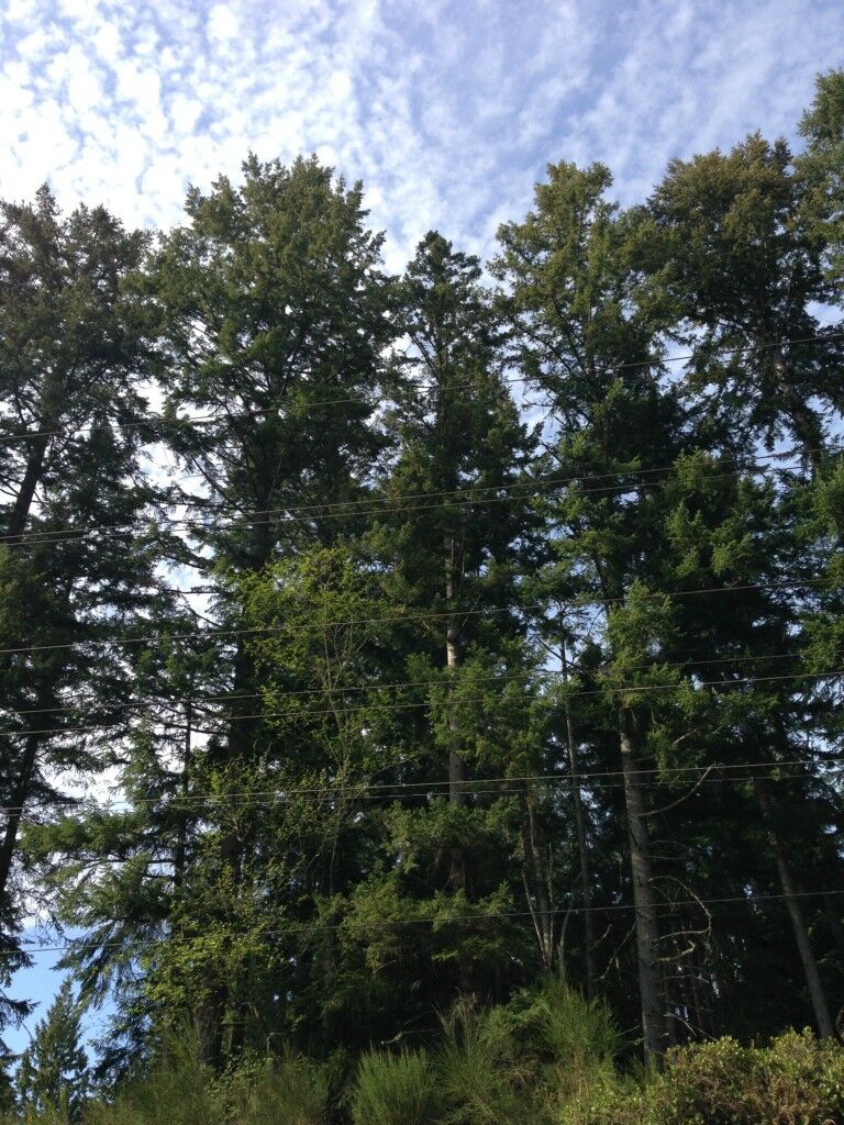 Property Photo:  0 Gunderson Rd  WA 98370 