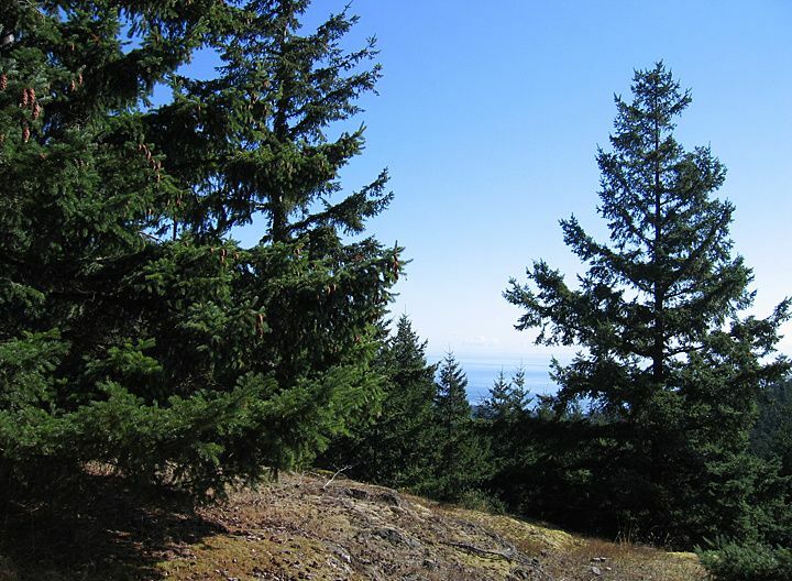 Property Photo:  0xxx Rockledge Rd  WA 98250 