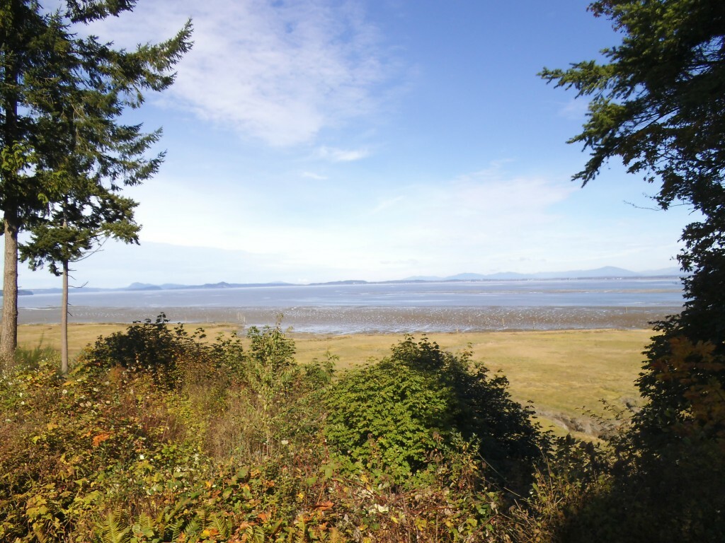 Property Photo:  1009 E Utsalady Rd  WA 98282 