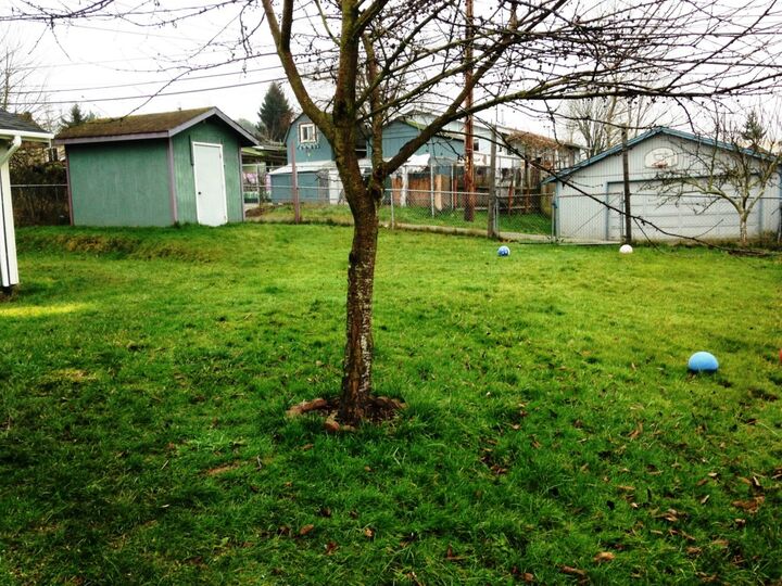 Property Photo:  2008 E Gregory St  WA 98404 