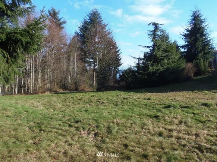 Property Photo: 0 Lot 5 Silver Crest Court WA 98260