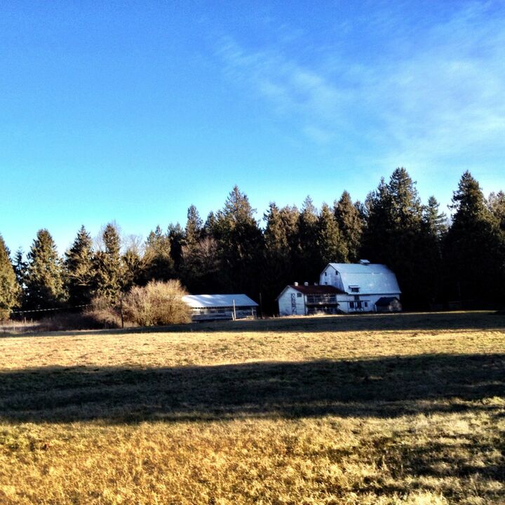 8275 Guide Meridian  Lynden WA 98264 photo