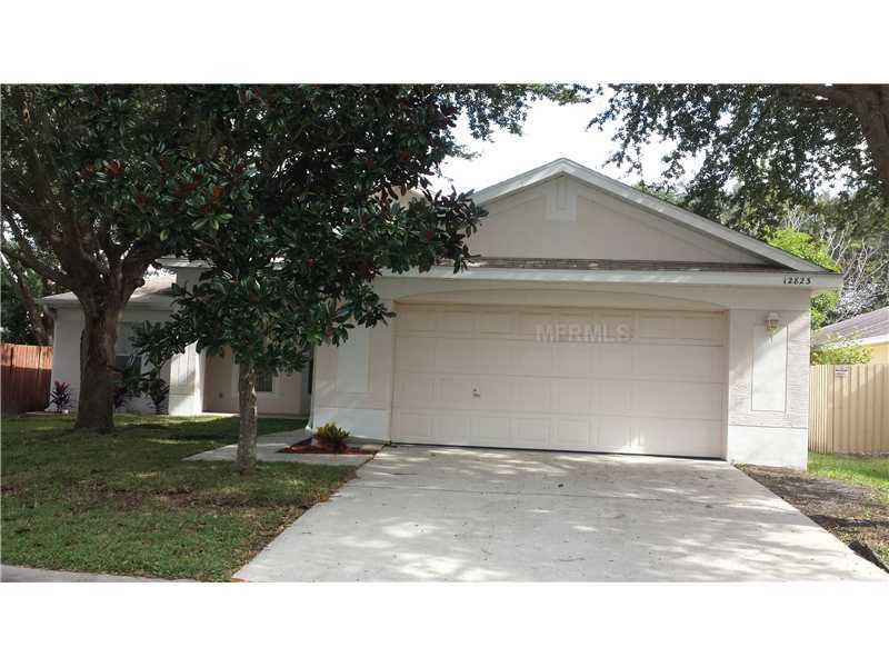 Property Photo:  12823 Retoria Circle  FL 33625 