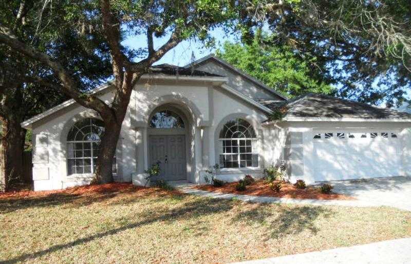 Property Photo:  10128 Hermosillo Drive  FL 34655 