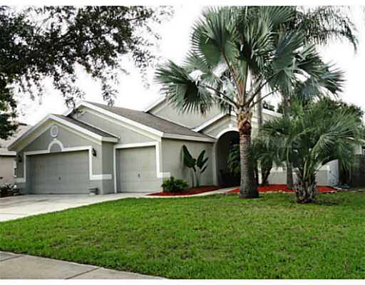 Property Photo:  10519 Sedgebrook Drive  FL 33569 