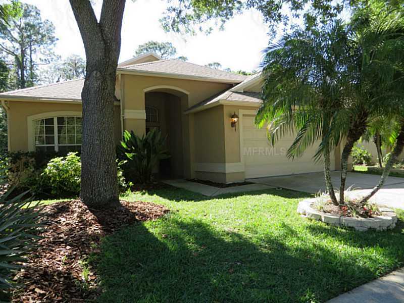 Property Photo:  12011 Oaksbury Drive  FL 33626 