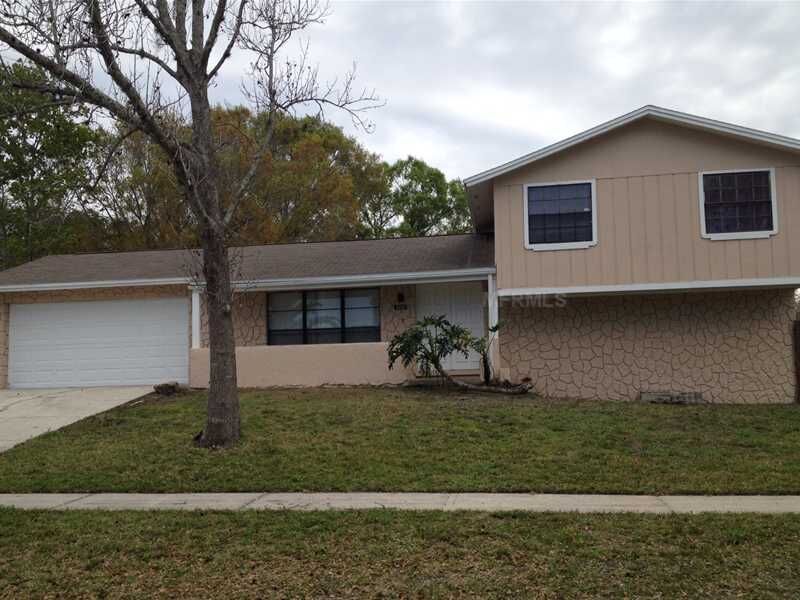 Property Photo:  4210 Hollow Hill Drive  FL 33624 