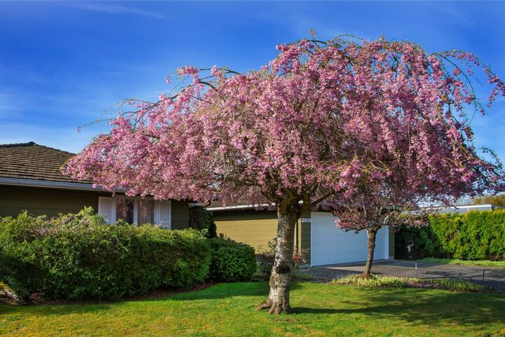 Property Photo:  3939 Cliffside Dr  WA 98225 