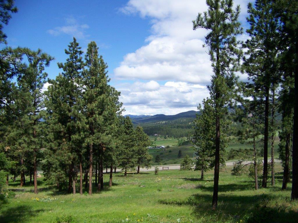 Property Photo: 321 Hidden Valley Rd WA 98922