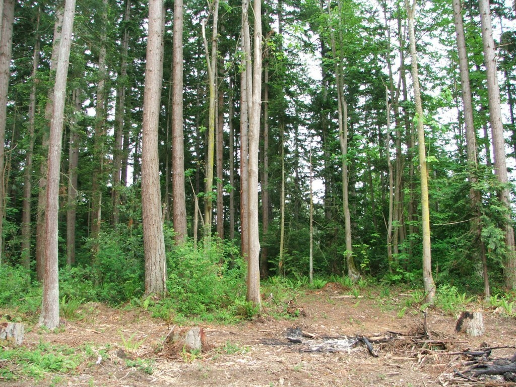 Property Photo:  9999lot 54C Marine Dr  WA 98292 