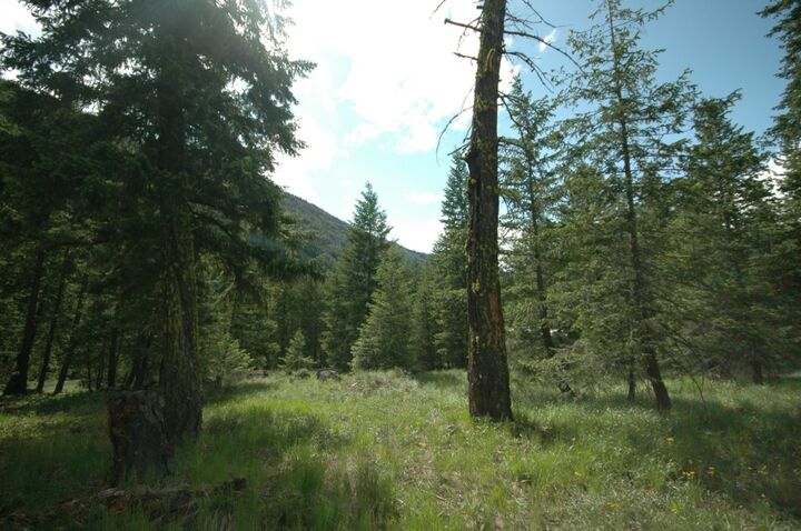Property Photo:  0 Skyline Dr  WA 98833 