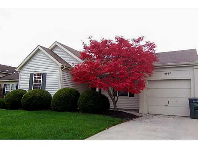 Property Photo:  8667 Blanca Court  OH 43065 