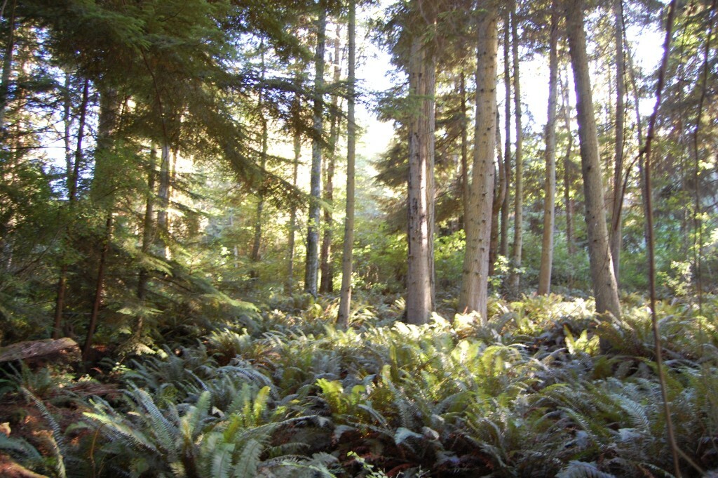 Property Photo:  Lot 263 East Harbor Rd  WA 98260 