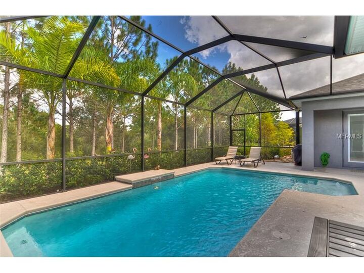 Property Photo:  32133 Summerglade Drive  FL 33545 