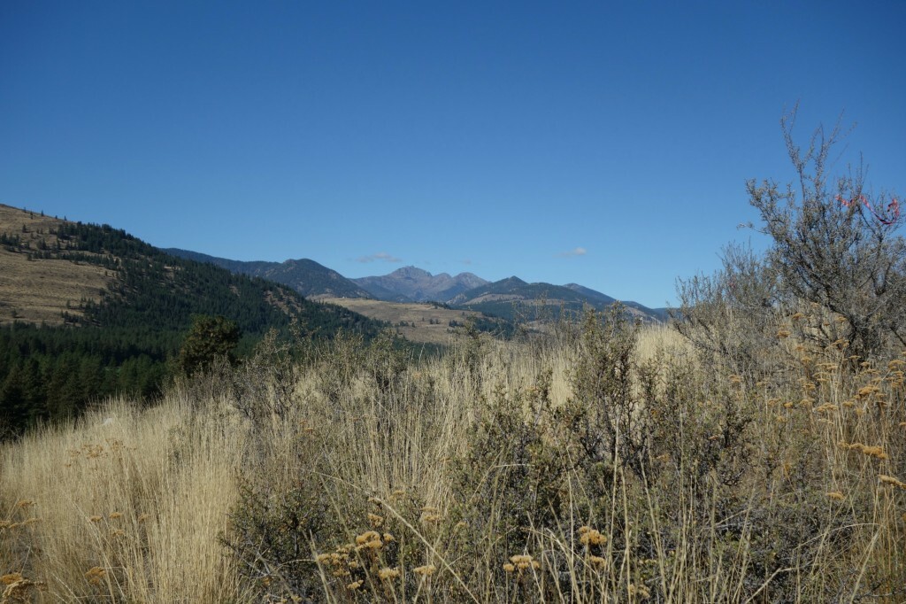 Property Photo:  0 Palomino Rd N  WA 98862 