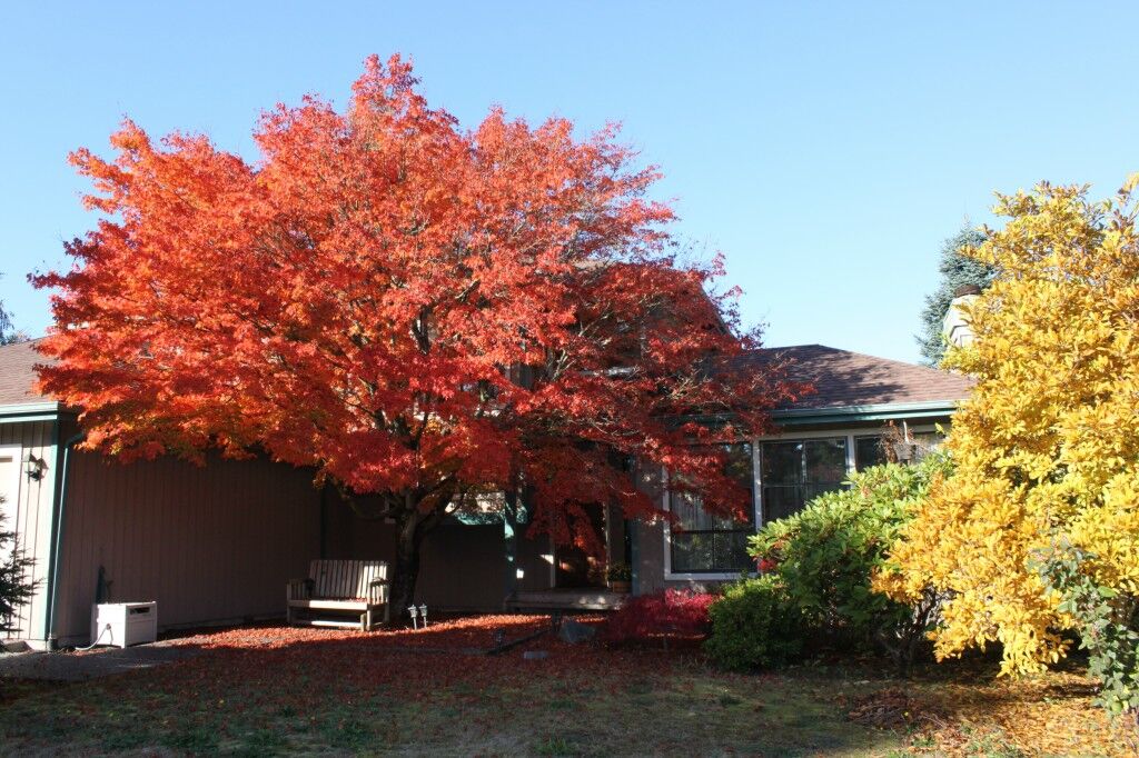 Property Photo:  2597 239th St SW  WA 98036 