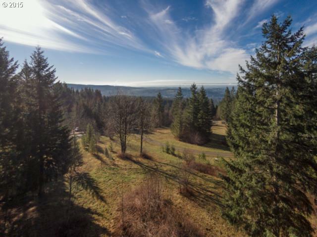 Property Photo: 0 NE 230th Ave 1 WA 98604