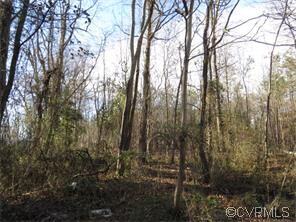 Property Photo:  2403 Mansion Drive  VA 23834 