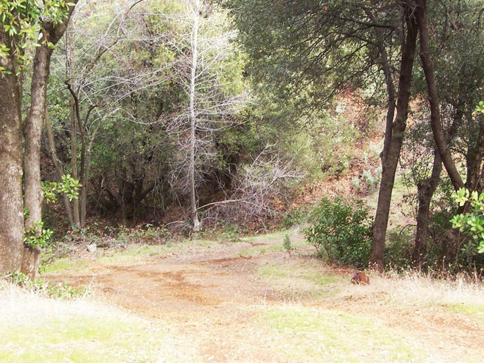 Property Photo:  6.8 Acres Lake Blvd  CA 96019 