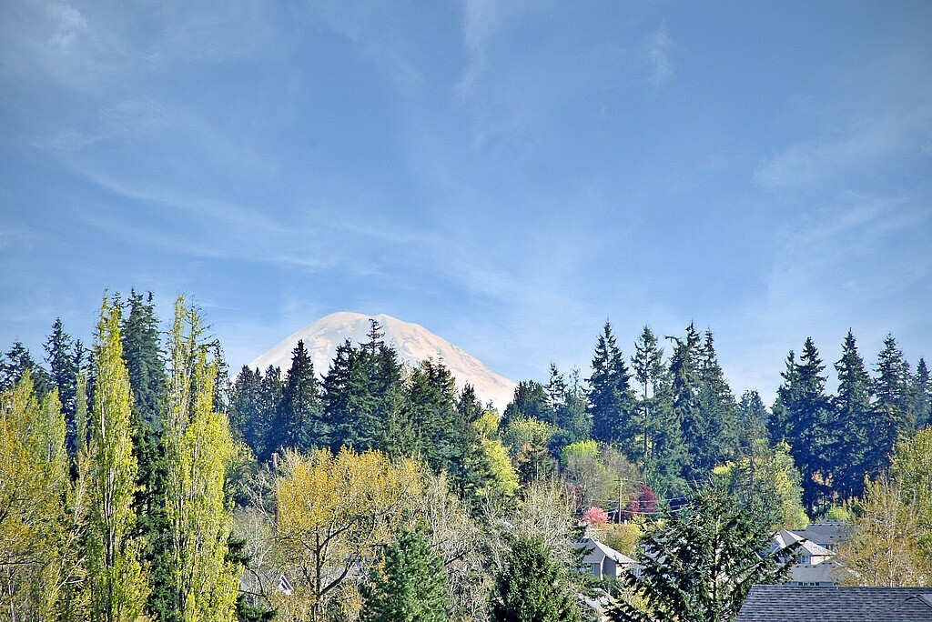 Property Photo: 23810 3rd 5 Dr SE WA 98021