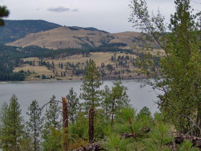 Property Photo:  Lot 3 Eagle River Way  WA 99141 