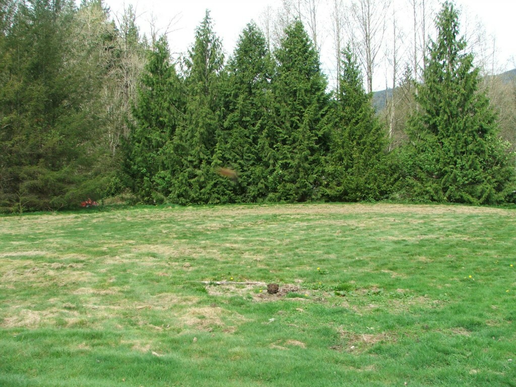 Property Photo:  27516 State Route 20  WA 98284 