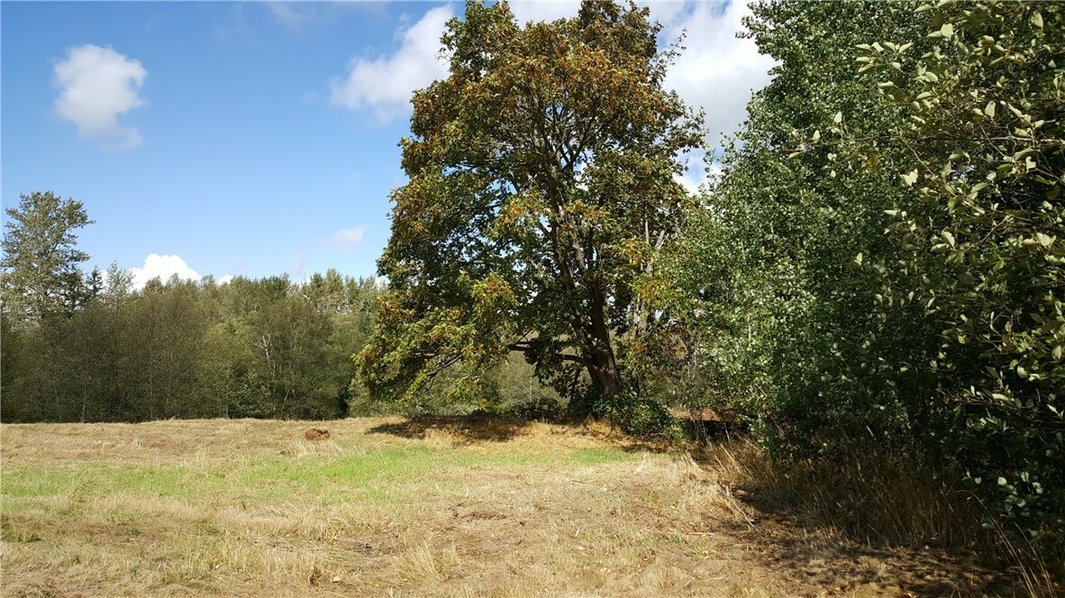 Property Photo:  740 E Axton Rd  WA 98226 