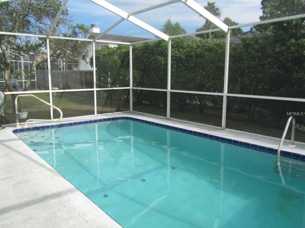 Property Photo:  375 Wood Ibis Avenue  FL 34689 