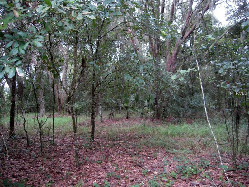 Property Photo:  28872 Walker Drive  FL 33544 