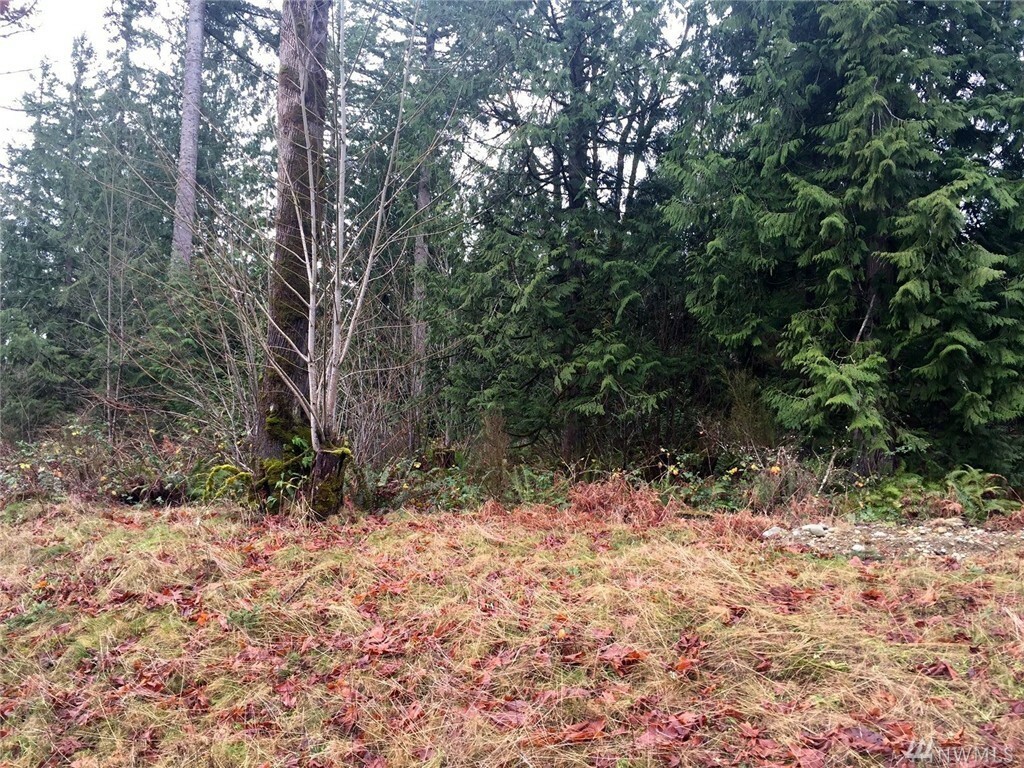 Property Photo:  2031 298th Crescent SE  WA 98024 