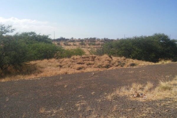 Property Photo: 68-3892 Kaulele Pl HI 96738