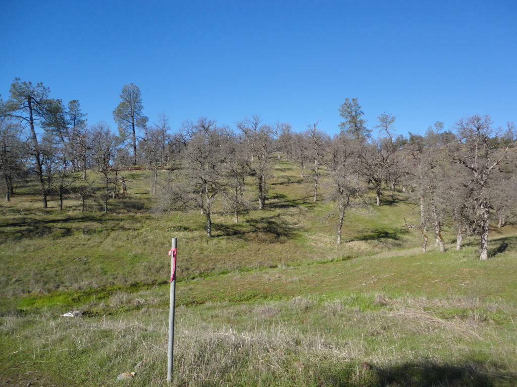 Property Photo:  Mystic Way  CA 96008 