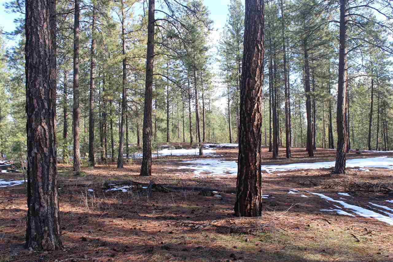 Property Photo:  1971 Ray Anderson Rd  WA 99141 