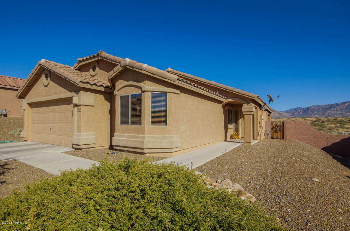 Property Photo:  39505 S Diamond Bay Drive  AZ 85739 